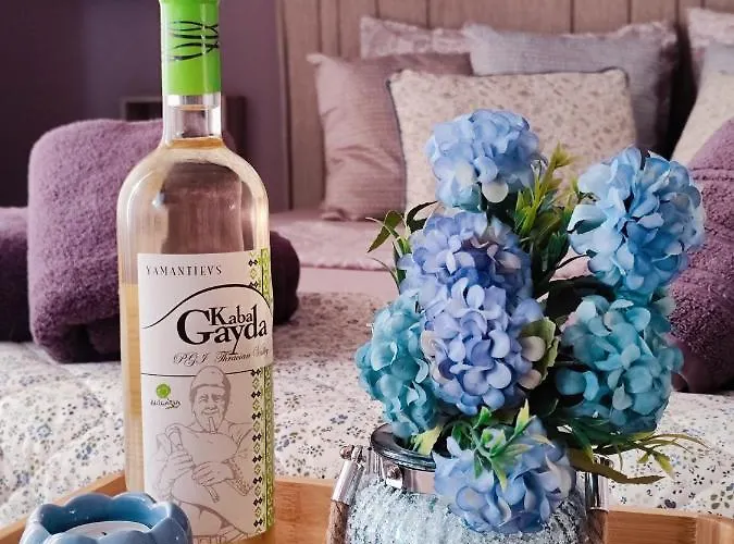 Amore Obzor Guest house